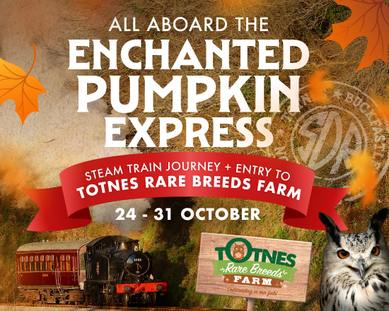 All Aboard the Enchanted Pumpkin Express