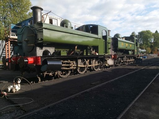 1369 with 4612 on shed at Buckfastleigh 2019 - Charlie Greasley