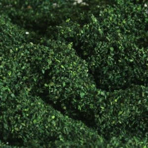 Tasma Products 00892 - Dark Green Foliage Cluster - OO Gauge
